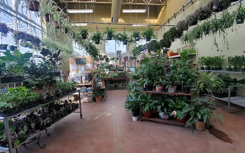 Zamzows Nampa Location — Garden center