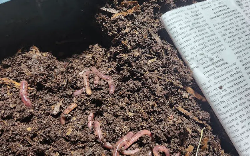 Utah Worm Company — Agricultural production