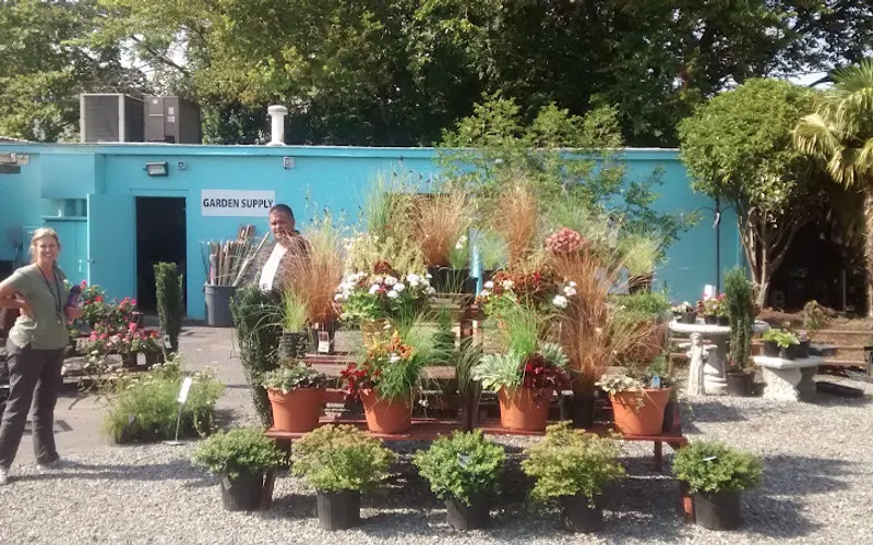 Eggleston Garden Center & Farmers Market — Garden center