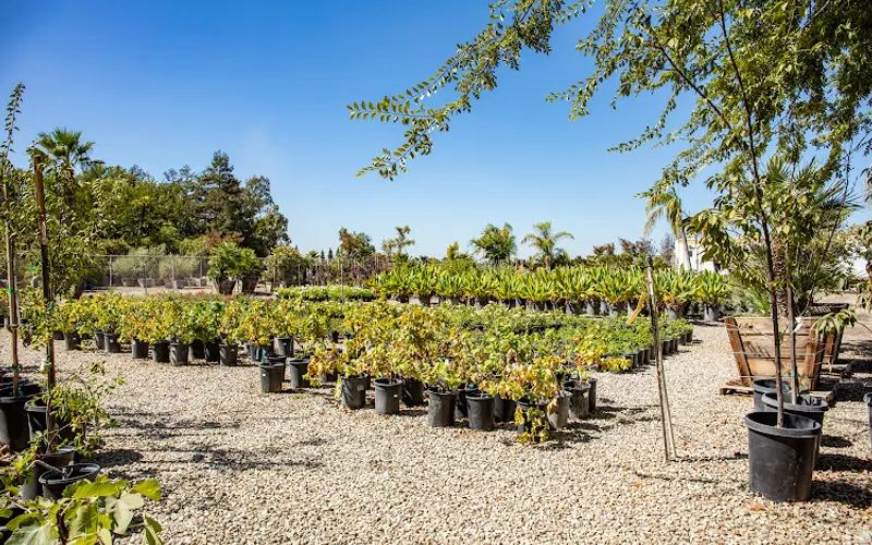 Lotus Gardens Outdoor Living Center Inc — Landscaping supply store