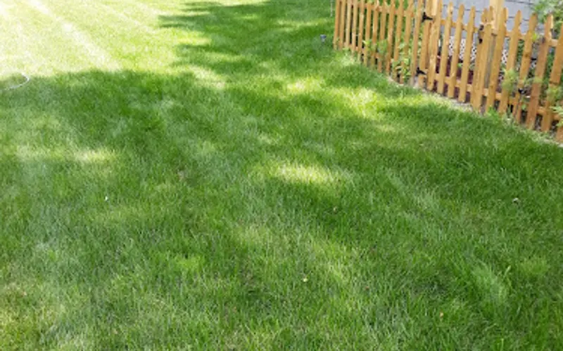 Northern Stone & Design Center — Landscaping supply store