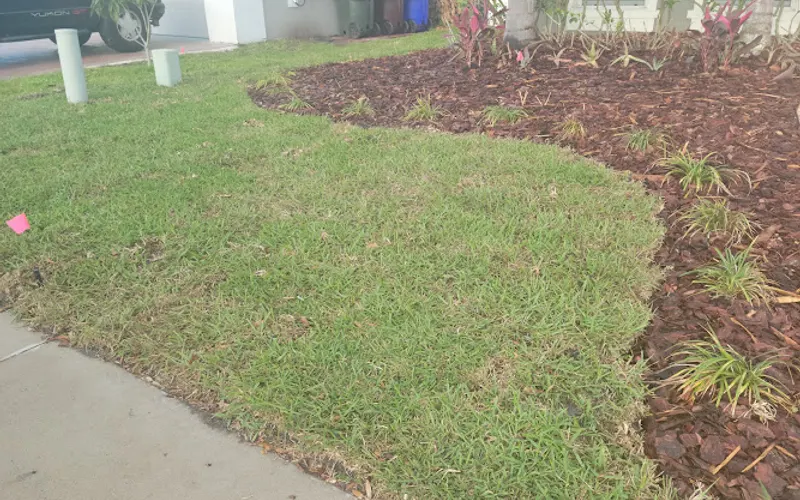Lira's Lawn — Sod supplier