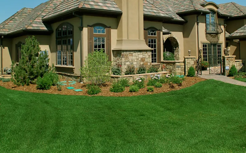 ScienTurfic Sod — Sod supplier