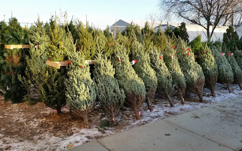 Handy Andy's Nursery — Garden center