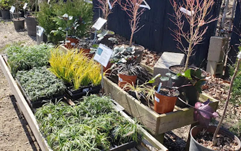 Garden*Hood — Garden center