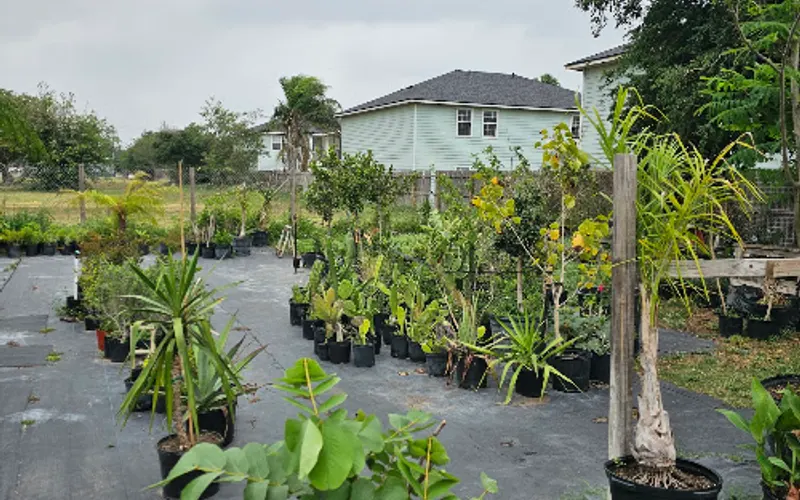 Muñoz Garden — Plant nursery