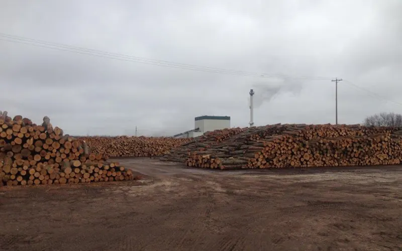 AJD Forest Products, L. P. — Saw mill