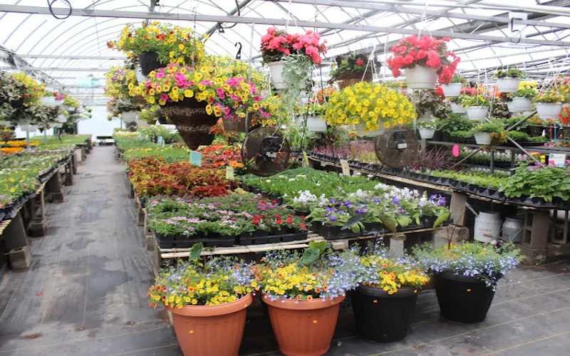 Greenleaf Greenhouses — attractions