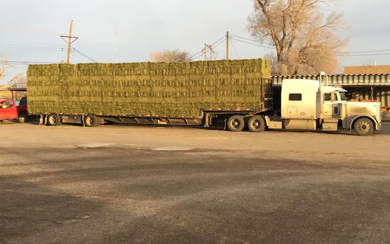 Ranchers Supply — Animal feed store
