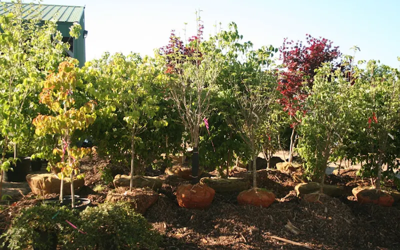 Watkins Nurseries — Wholesale plant nursery