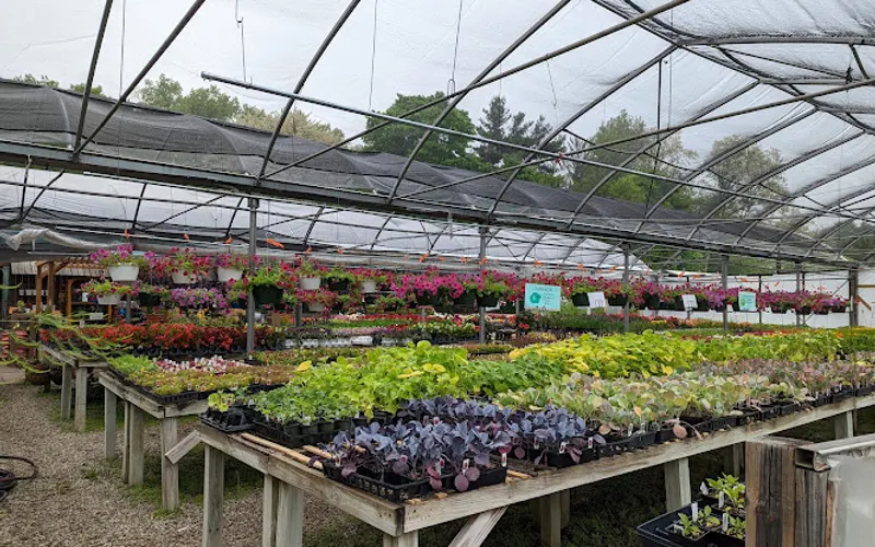 ProGreen Garden Center — attractions