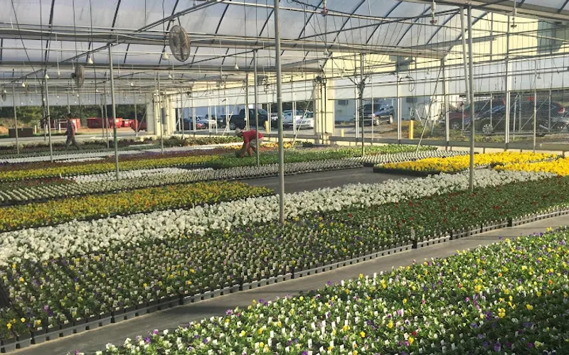 Pike Nurseries Farm — Wholesaler
