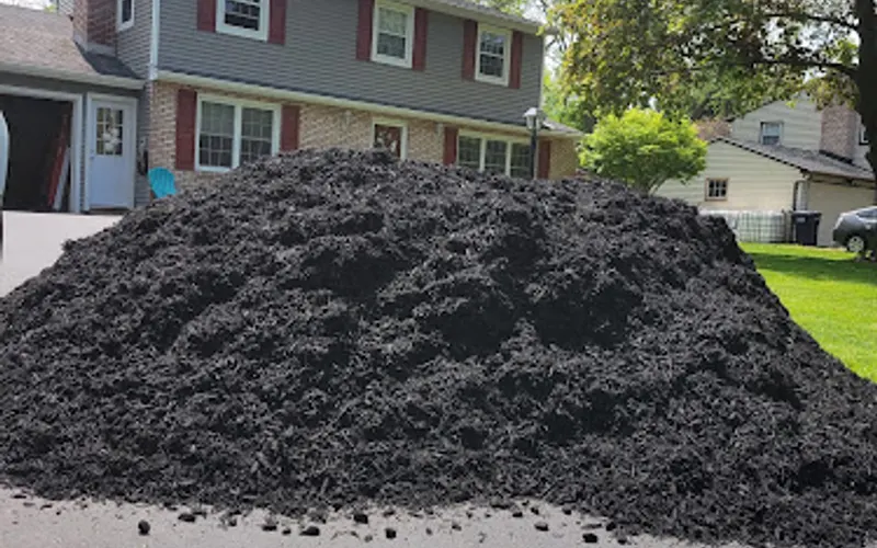 Adirondack Mulch & Stone Company — Dumpster rental service
