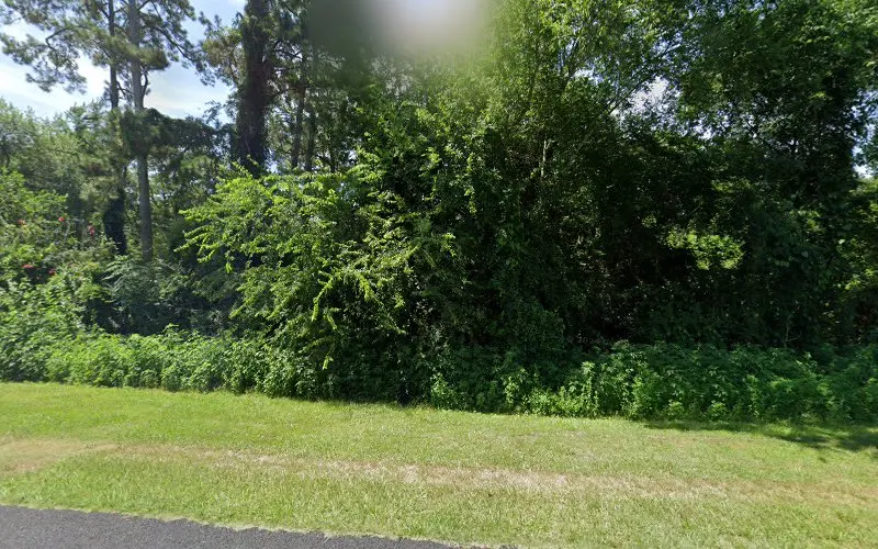 Georgia Fl Bark & Mulch Co — Mulch supplier