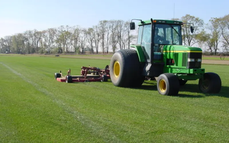 Red Hen Turf Farm — Sod supplier