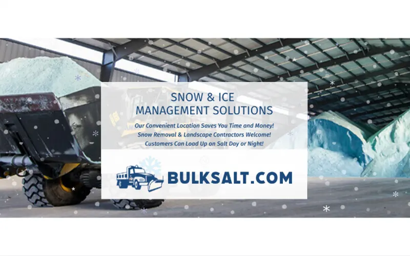BulkSalt.com — Distribution service