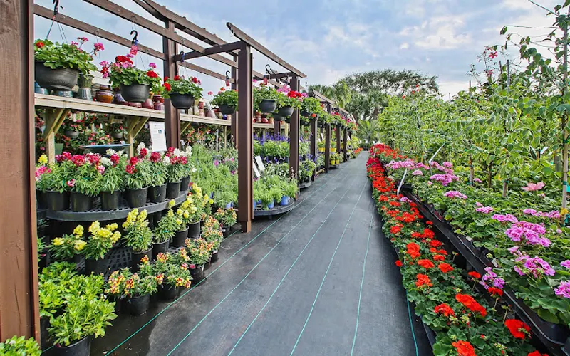 Giverny Gardens — Garden center