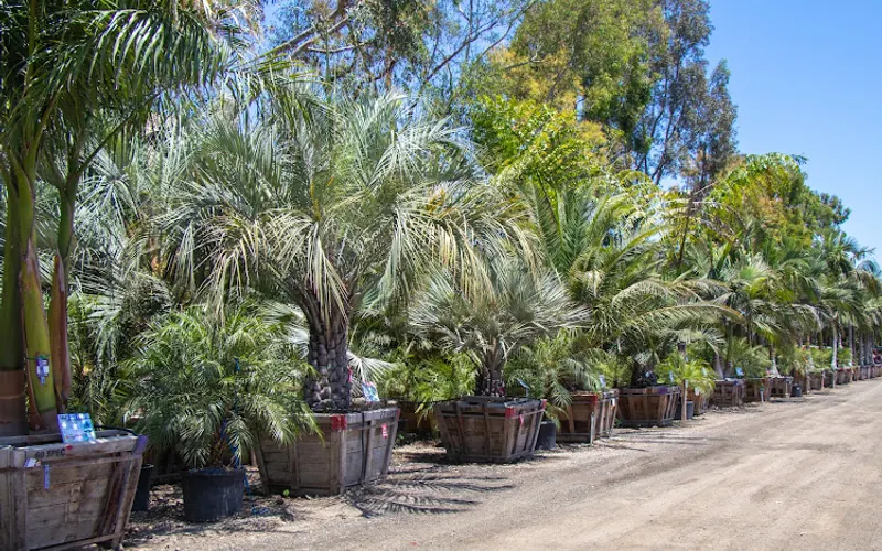 Moon Valley Nurseries — Plant nursery