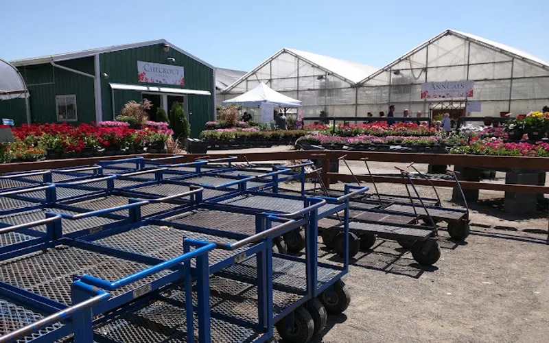 Johnson Brothers Garden Market — Garden center