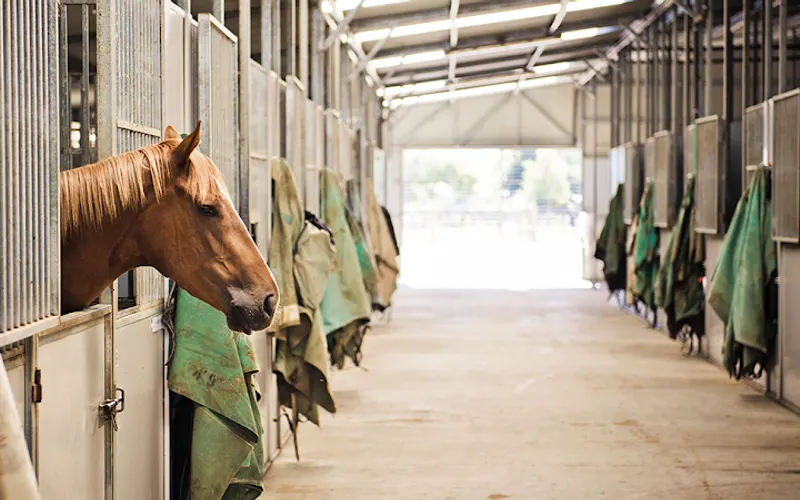 Graham Feed Company — Agricultural service