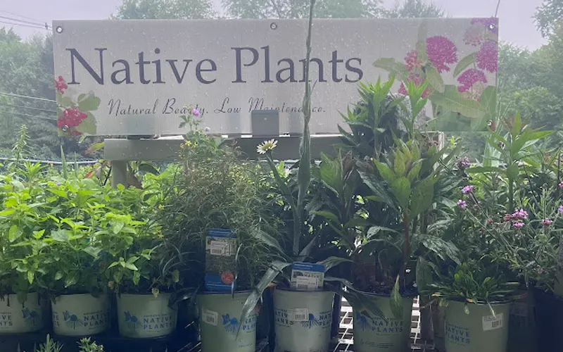 Bubbling Brook Nursery — Garden center