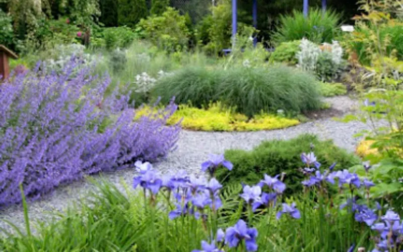 Dirt Works Demonstration Garden and Composting Site — Garden