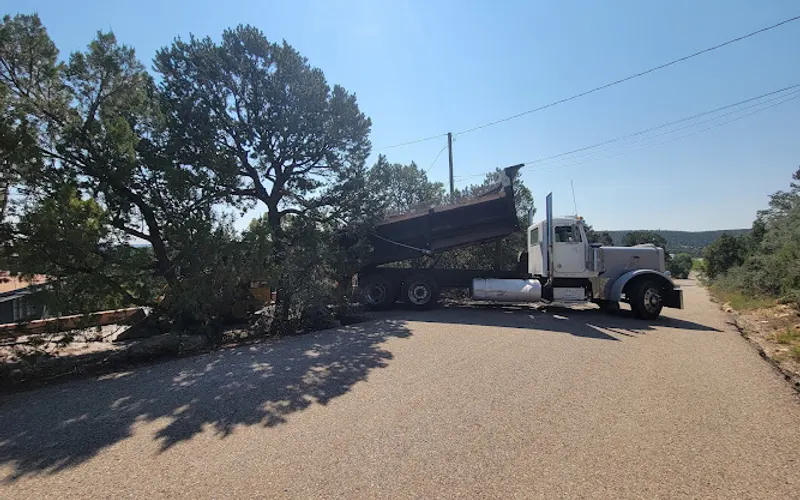 MT TRUCKING, LLC — Trucking company