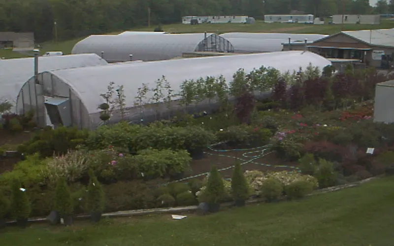 Miller's Greenhouses & Flower Shop — Greenhouse
