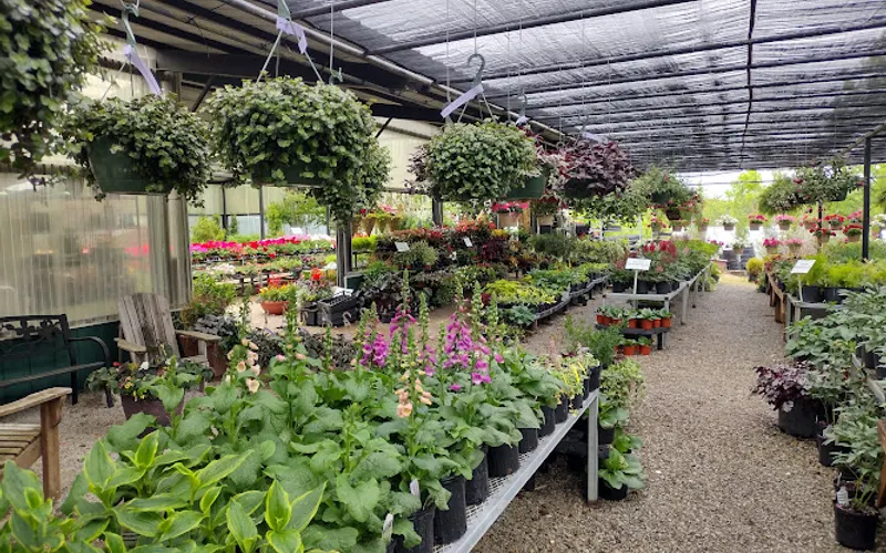 Kelley Thomas Landscape Nursery — Landscape designer