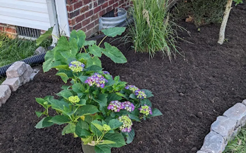 White House Mulch And More — Mulch supplier