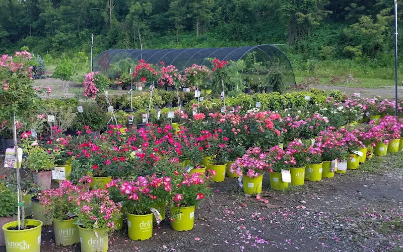Grandview Nurseries, Inc. — Garden center
