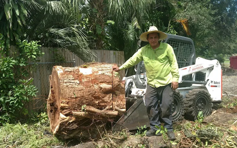 Alligator Tree Service, LLC — Tree service