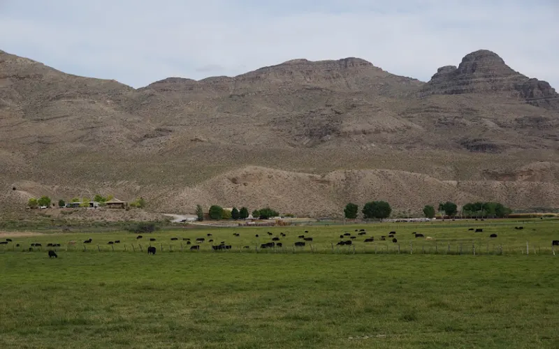 Castle Ridge Ranch — Ranch