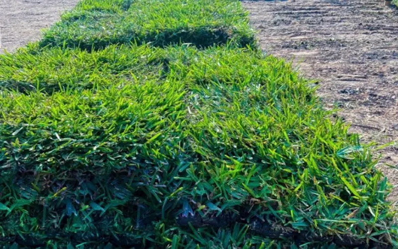 C&A Landscaping Supply — Landscaping supply store