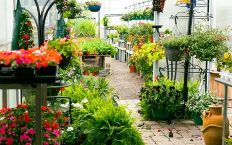 Madison Garden Center — Garden center