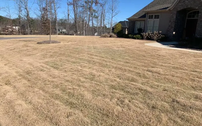 AMERICAN TREE MAINTENANCE, INC. — Tree service