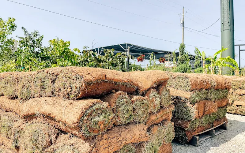 Firehouse Nursery — Plant nursery
