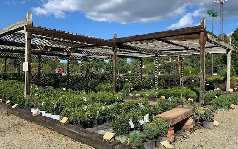 The Great Big Greenhouse and Nursery — Garden center