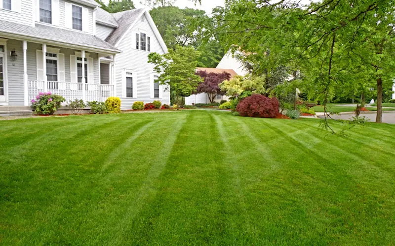 Veteran Professional Lawn Service, LLC — Lawn care service