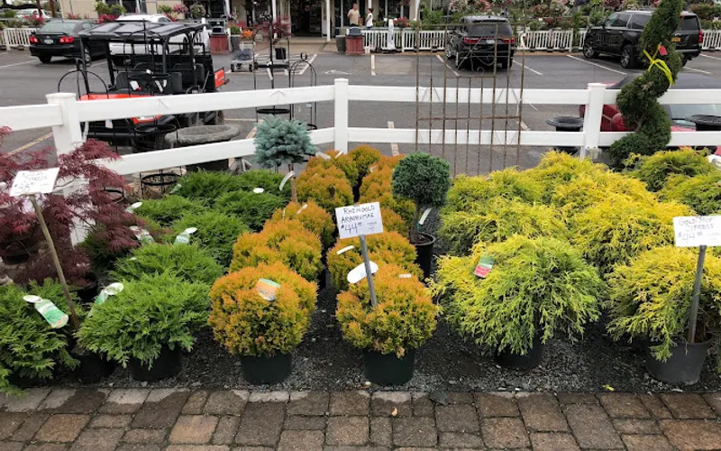 Troy's Landscape Supply — Garden center
