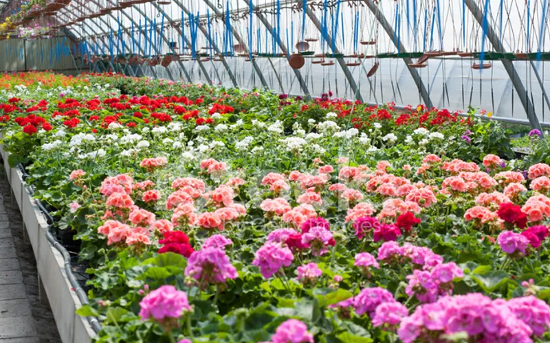 Big Tree Nursery and Landscaping — Landscaping supply store