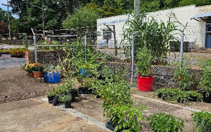 The Farm & Garden Store — Garden center