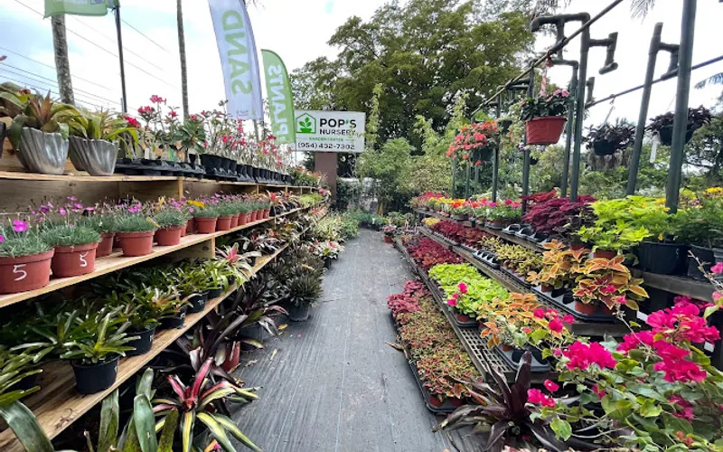 Pop's Nursery — Plant nursery