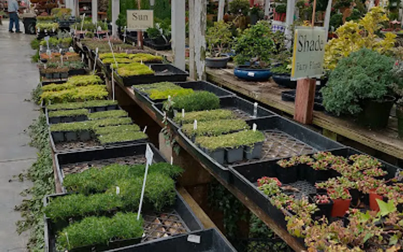 M & M Nursery — Garden center