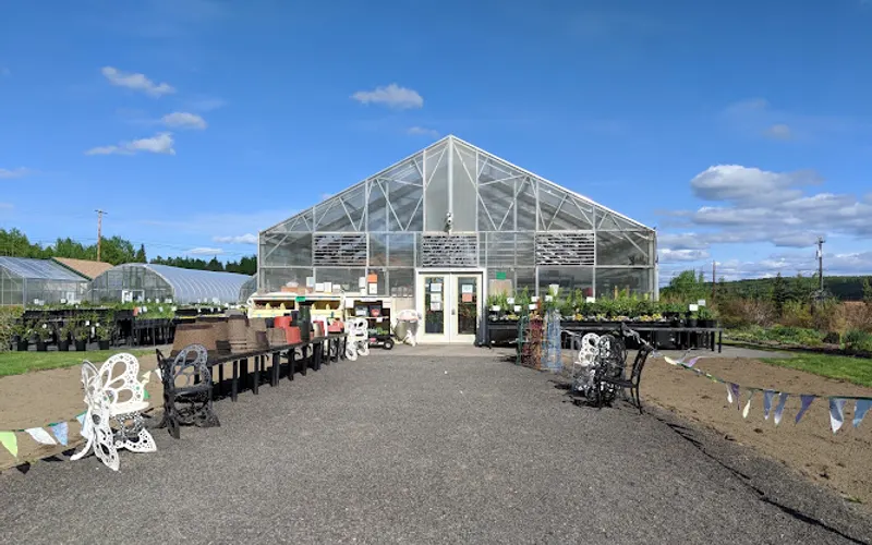 The Plant kingdom Greenhouse and Nursery, Inc — Greenhouse