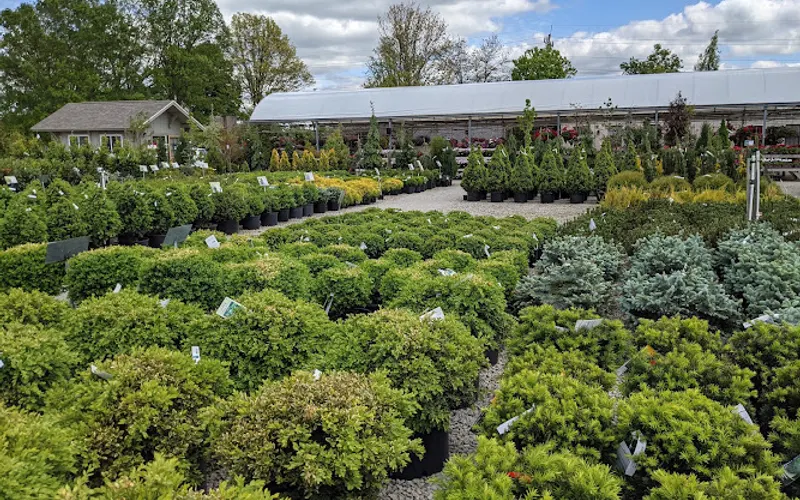 Sharon Nursery — Garden center