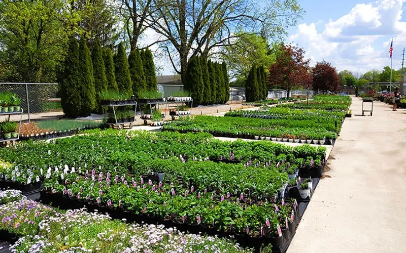 Romence Gardens & Greenhouses — Garden center