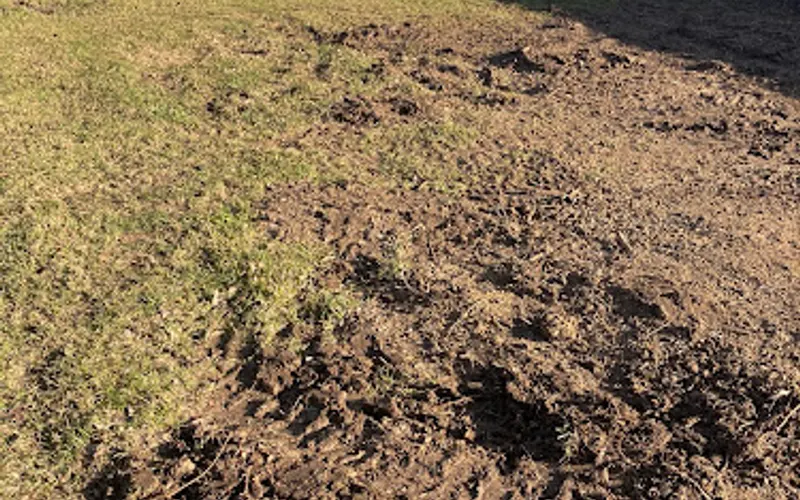 Father & Son Dirt Works LLC — Contractor