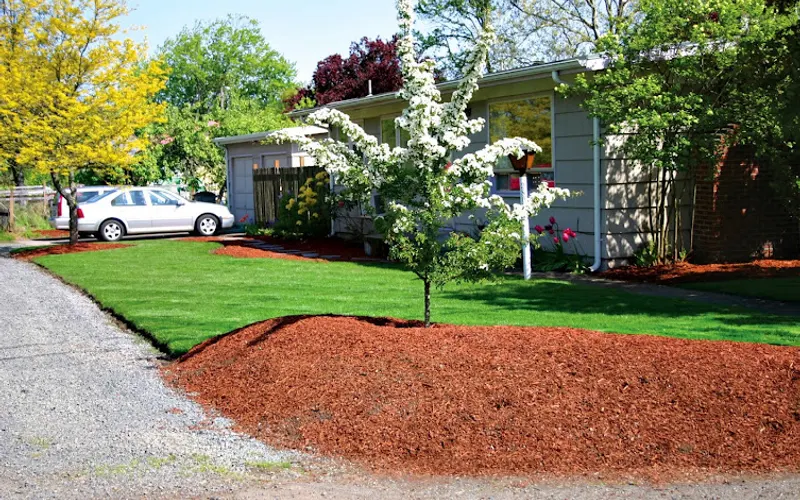 Rexius | Corporate Office — Landscape designer