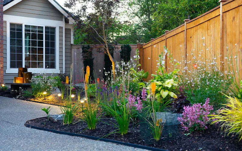 MTS Tree and Landscape — Tree service